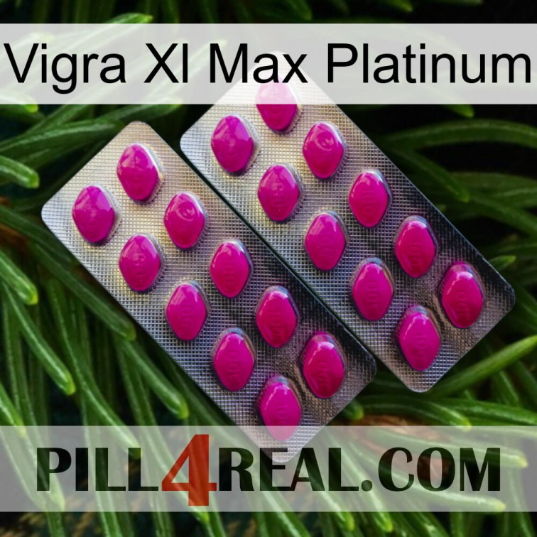 Vigra Xl Max Platinum 10